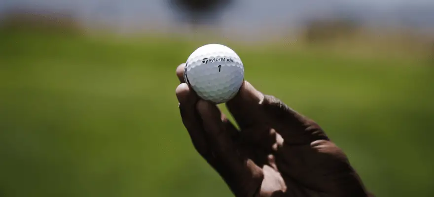 Lost Golf Ball