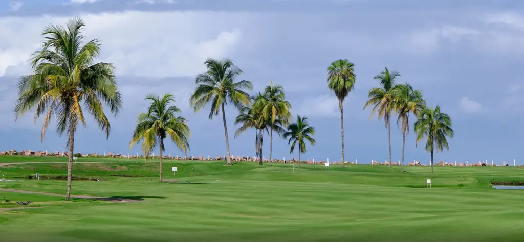 Marina Vallarta Golf Club
