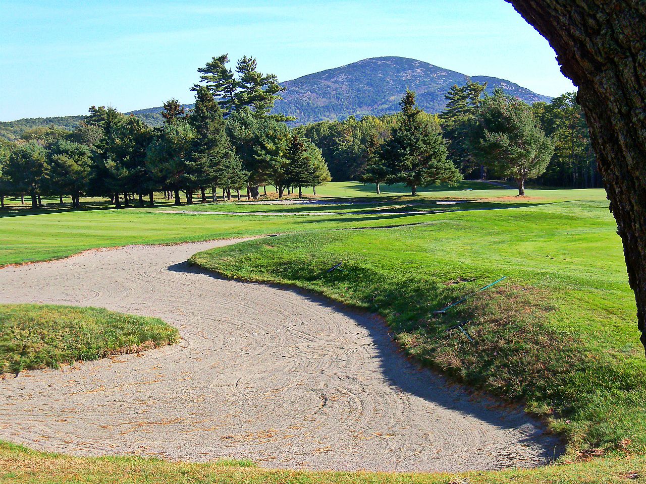 Kebo Valley Golf Club in Bar Harbor, Maine, with a green fairway, bunkers, and wooded hills behind the course.