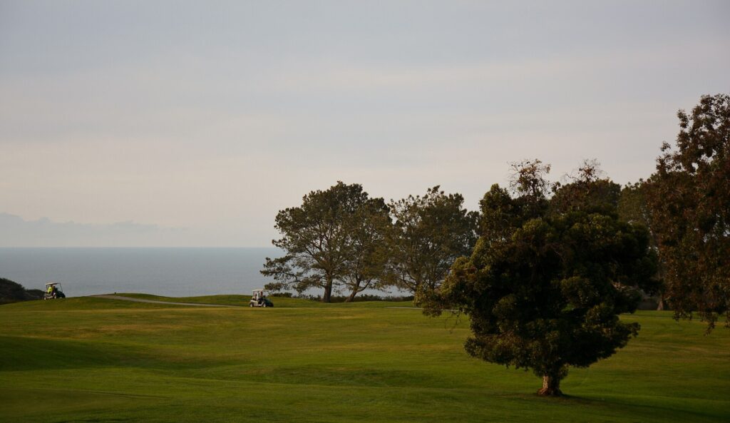 Torrey Pines Golf Course fairway on the La Jolla bluffs overlooking the Pacific Ocean.
