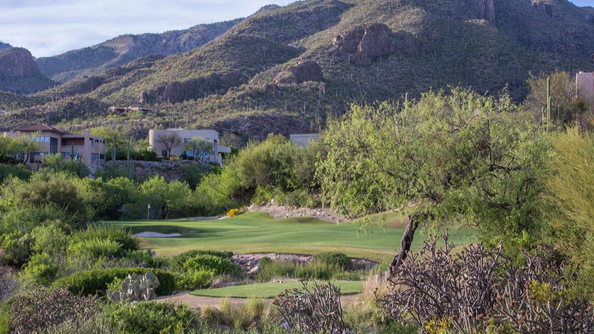 Desert fairway and bunkered green at Ventana Canyon Golf Club near Tucson, with saguaros and Catalina foothills beyond.