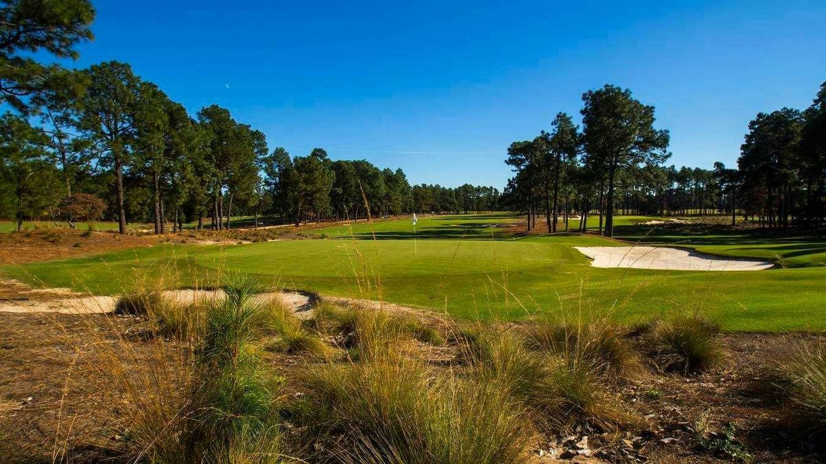 Wiregrass and sandy native areas in front of a green on Pinehurst No. 2, framed by longleaf pines